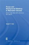 Daniel Hole, Hole Daniel - Focus and Background Marking in Mandarin Chinese