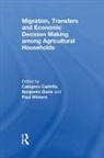 Calogero Davis Carletto, Calogero Carletto, Benjamin Davis, Paul Winters - Migration, Transfers and Economic Decision Making Among Agricultural