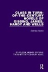 Christine Devine, DeVine Christine - Class in Turn-Of-The-Century Novels of Gissing, James, Hardy and Wells