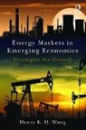 Henry K. H. Wang, Wang Henry K. H. - Energy Markets in Emerging Economies
