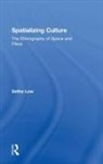 Setha Low, Setha (Cuny Graduate Center Low, Low Setha - Spatializing Culture