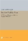 James Smith Allen, Allen James Smith - In the Public Eye