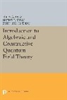 John C. Baez, John C. Segal Baez, Baez John C., Irving E. Segal, Segal Irving E., Zhengfang Zhou... - Introduction to Algebraic and Constructive Quantum Field Theory