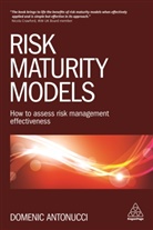 Domenic Antonucci, Antonucci Domenic - Risk Maturity Models