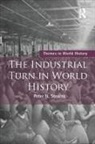 Peter Stearns, Peter (George Mason University Stearns, Stearns Peter - Industrial Turn in World History