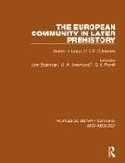 John Brown Boardman, John Boardman, Boardman John, M.A. Brown, Brown M.A., T.G.E. Powell... - European Community in Later Prehistory