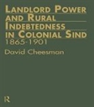 David Cheesman, Cheesman David - Landlord Power and Rural Indebtedness in Colonial Sind