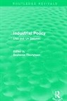 Grahame Thompson - Industrial Policy (Routledge Revivals)