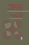 Hans O. Baumann Veiel, Urs Baumann, Baumann Urs, Hans O. Veiel, Veiel Hans O. - Meaning and Measurement of Support