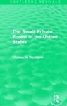 Charles H. Stoddard, Stoddard Charles H. - Small Private Forest in the United States (Routledge Revivals)