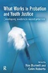 Ros Roberts Burnett, Ros Burnett, Colin Roberts, Roberts Colin - What Works in Probation and Youth Justice