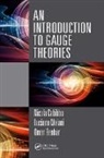 Omar Benhar, Benhar Omar, Nicola Cabibbo, Nicola (University of Rome Cabibbo, Nicola Maiani Cabibbo, Cabibbo Nicola... - Introduction to Gauge Theories