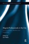 Lars Meier, Lars Meier, Meier Lars - Migrant Professionals in the City