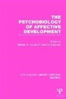 Nathan A. (University of Maryland Fox, Nathan A. Davidson Fox, Richard Davidson, Nathan A. Fox, Fox Nathan A. - Psychobiology of Affective Development