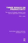 Mark J. Lasky, Lasky Mark J. - Three Essays on Productivity (Rle: Business Cycles)