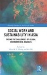 Alice M. L. Chi Chong, Iris Chi, Chi Iris, Alice M. L. Chong - Social Work and Sustainability in Asia