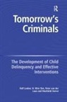 Machteld Hoeve, N Wim Slot, N. Wim Slot, N. Wim Hoeve Slot, Rolf Loeber - Tomorrow''s Criminals