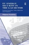 Filippos Proedrou, Proedrou Filippos - Eu Energy Security in the Gas Sector