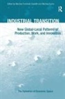 Martina Fuchs, Martina Fromhold-Eisebith, Martina Fuchs - Industrial Transition