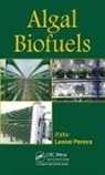Leonel Pereira, Leonel Pereira, Pereira Leonel - Algal Biofuels