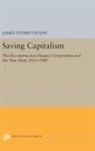 James Stuart Olson - Saving Capitalism