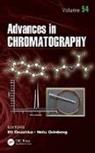Nelu Grushka Grinberg, Nelu Grinberg, Grinberg Nelu, Eli Grushka, Grushka Eli - Advances in Chromatography
