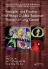 Jing Chang Cai, Jing Cai, Cai Jing, Joe Y. Chang, Chang Joe Y., Fang-Fang Yin... - Principles and Practice of Image Guided Radiation Therapy of Lung