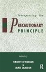 Timothy O'Riordan, Timothy O''riordan, O'Riordan Timothy, James Cameron, Cameron James - Interpreting the Precautionary Principle