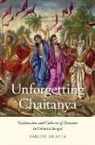 Varuni Bhatia, Varuni (Assistant Professor of Hindu and S Bhatia - Unforgetting Chaitanya