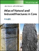 Scott P Cooper, Scott P. Cooper, John C Lorenz, John C. Lorenz, John C. Cooper Lorenz - Atlas of Natural and Induced Fractures in Core