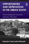 Eduardo Cesar Leao Marques, Eduardo Cesar Leão Marques - Opportunities and Deprivation in the Urban South