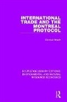 Duncan Brack, Brack Duncan - International Trade and the Montreal Protocol