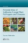 Tsuneo Watanabe, Tsuneo (Institute for Biological Resourc Watanabe, Watanabe Tsuneo - Pictorial Atlas of Soilborne Fungal Plant Pathogens and Diseases