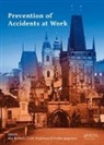 Ales Kocurkova Bernatik, Ales Bernatik, Kirsten Jørgensen, Lucie Kocurkova - Prevention of Accidents At Work
