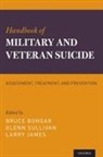 Bruce (Calvin Distinguished Professor of P Bongar, Bruce Bongar, Bongar Bruce, Larry James, James Larry, Glenn Sullivan - Handbook of Military and Veteran Suicide