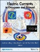 Andreas (University of California-Berkele Keiling, Andreas Keiling, Keiling Andreas, Octav Marghitu, Michael Wheatland - Electric Currents in Geospace and Beyond