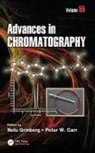 Nelu (Boehringer-Ingelheim Pharmaceutica Grinberg, Nelu Carr Grinberg, Peter W. Carr, Carr Peter W., Nelu Grinberg, Grinberg Nelu - Advances in Chromatography