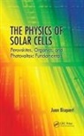 Juan Bisquert, Juan (Universitat Jaume I Bisquert, Bisquert Juan - Physics of Solar Cells