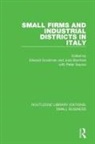 Edward Bamford Goodman, Julia Bamford, Bamford Julia, Edward Goodman, Goodman Edward, Peter Saynor... - Small Firms and Industrial Districts in Italy
