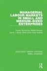 Kevin Keasey, Helen Short, David J Storey, David J. Storey, Robert Watson, Pooran Wynarczyk... - Managerial Labour Markets in Small and Medium-Sized Enterprises