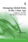 Yee-Kuang Heng, Heng Yee-Kuang - Managing Global Risks in the Urban Age