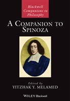 Yitzhak Y. (Johns Hopkins University) Melamed, YY Melamed, Yitzhak Y. Melamed - Companion to Spinoza
