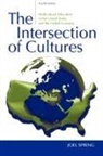 Joel Spring, Joel (Queens College Spring - Intersection of Cultures