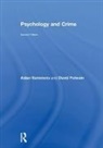 David Putwain, Putwain David, Aidan Sammons, Aidan Putwain Sammons, Sammons Aidan - Psychology and Crime