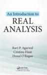 Ravi P. Agarwal, Ravi P. Flaut Agarwal, Agarwal Ravi P., Cristina Flaut, Donal O'Regan, O'Regan Donal - Introduction to Real Analysis