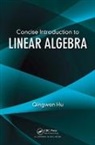 Qingwen Hu, Qingwen (University of Texas At Dallas) Hu - Concise Introduction to Linear Algebra
