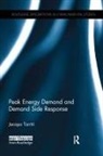 Jacopo Torriti - Peak Energy Demand and Demand Side Response