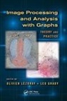 Olivier (University of Caen Lezoray, Olivier Grady Lezoray, Leo Grady, Grady Leo, Olivier Lezoray, Lezoray Olivier - Image Processing and Analysis With Graphs