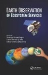 Domingo (Universidad De Almeria Alcaraz-Segura, Domingo Alcaraz-Segura, Carlos Marcelo Di Bella, Bella Carlos Marcelo Di, Julieta Veronica Straschnoy, Straschnoy Julieta Veronica - Earth Observation of Ecosystem Services