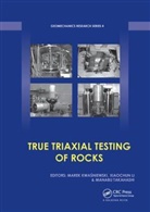 Marek Li Kwasniewski, Marek Kwasniewski, Xiaochun Li, Li Xiaochun, Manabu Takahashi, Takahashi Manabu - True Triaxial Testing of Rocks